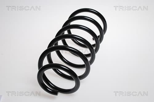 Spiralfjäder fram från TRISCAN