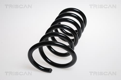 Spiralfjäder bak från TRISCAN