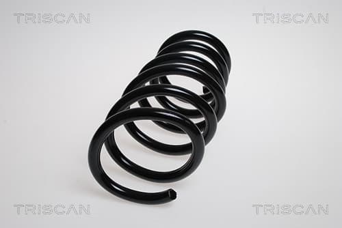 Spiralfjäder bak från TRISCAN