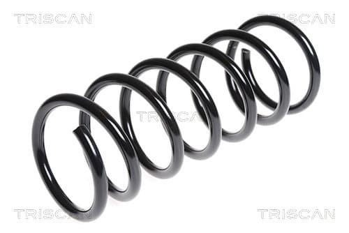 Spiralfjäder bak från TRISCAN