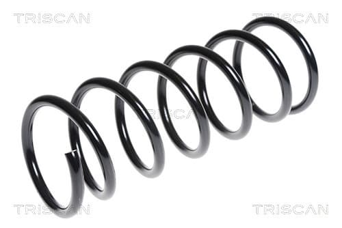 Spiralfjäder bak från TRISCAN