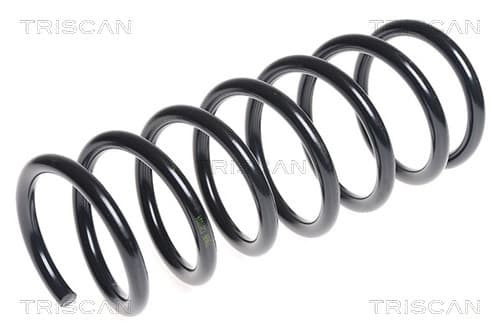 Spiralfjäder bak från TRISCAN