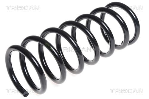 Spiralfjäder bak från TRISCAN