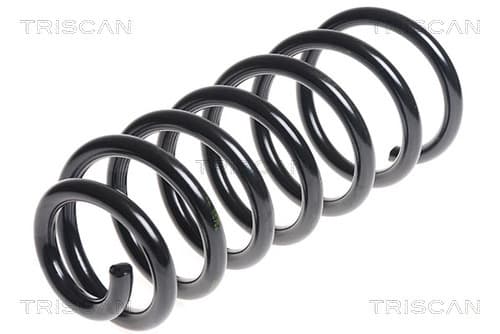Spiralfjäder bak från TRISCAN
