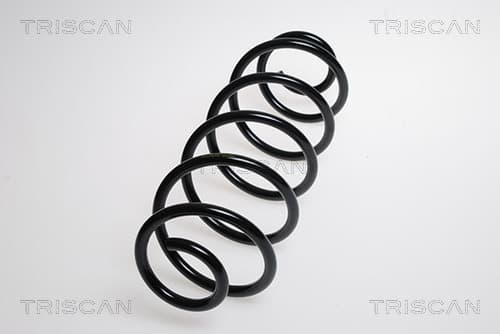 Spiralfjäder bak från TRISCAN
