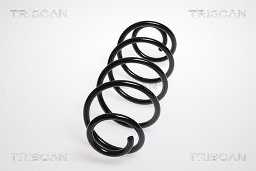 Spiralfjäder bak från TRISCAN