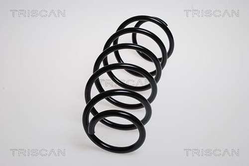 Spiralfjäder fram från TRISCAN