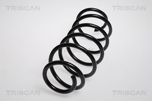 Spiralfjäder fram från TRISCAN