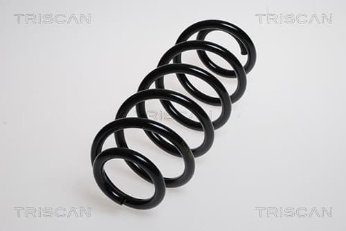 Spiralfjäder bak från TRISCAN