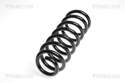 Spiralfjäder bak från TRISCAN