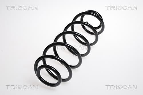 Spiralfjäder bak från TRISCAN