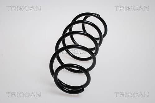 Spiralfjäder fram från TRISCAN