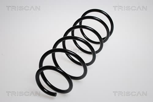 Spiralfjäder fram från TRISCAN