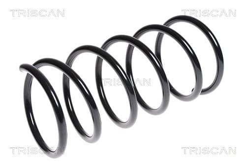 Spiralfjäder fram från TRISCAN