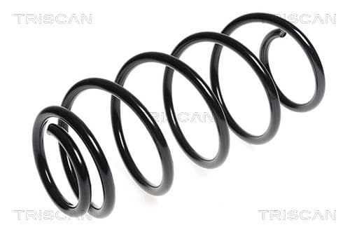 Spiralfjäder fram från TRISCAN