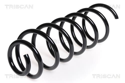 Spiralfjäder bak från TRISCAN