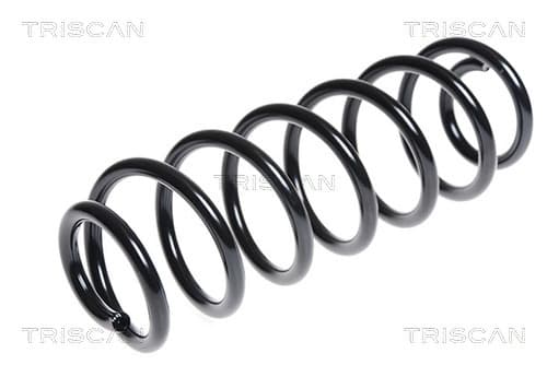 Spiralfjäder bak från TRISCAN