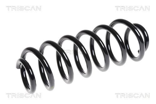 Spiralfjäder bak från TRISCAN