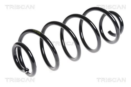 Spiralfjäder bak från TRISCAN