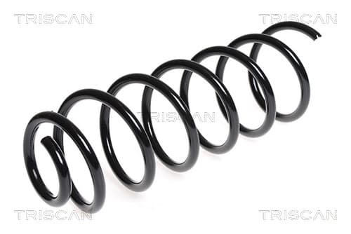 Spiralfjäder bak från TRISCAN