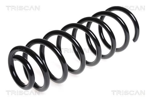 Spiralfjäder bak från TRISCAN