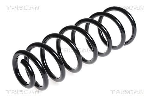 Spiralfjäder bak från TRISCAN