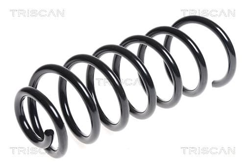 Spiralfjäder bak från TRISCAN