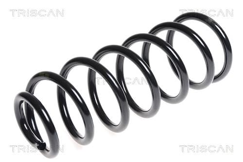 Spiralfjäder bak från TRISCAN