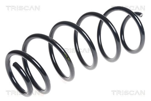Spiralfjäder fram från TRISCAN