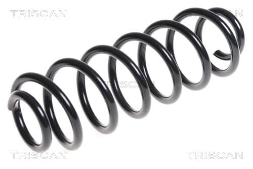 Spiralfjäder bak från TRISCAN