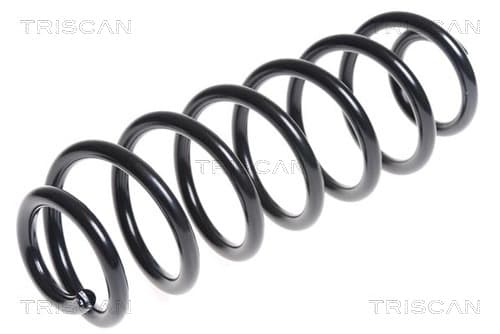 Spiralfjäder bak från TRISCAN