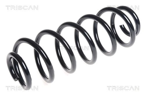 Spiralfjäder bak från TRISCAN