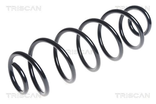 Spiralfjäder bak från TRISCAN