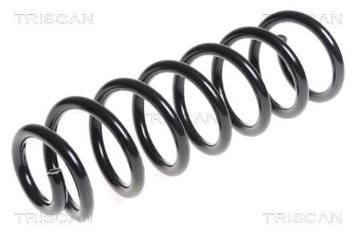 Spiralfjäder bak från TRISCAN