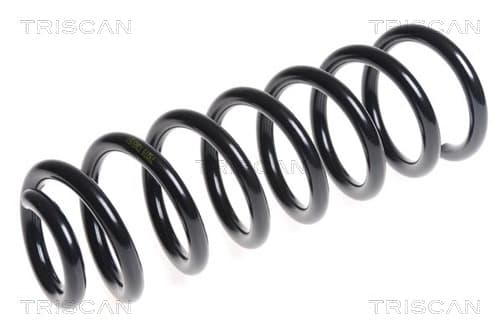 Spiralfjäder bak från TRISCAN
