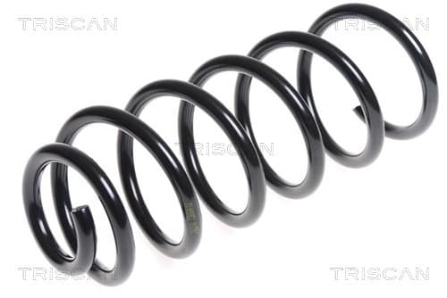 Spiralfjäder bak från TRISCAN