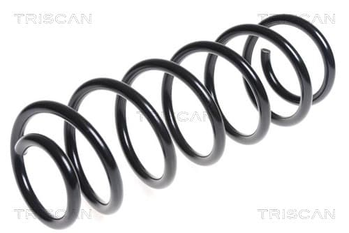 Spiralfjäder fram från TRISCAN