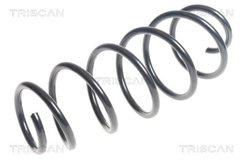 Spiralfjäder fram från TRISCAN