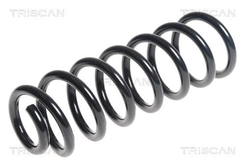 Spiralfjäder bak från TRISCAN