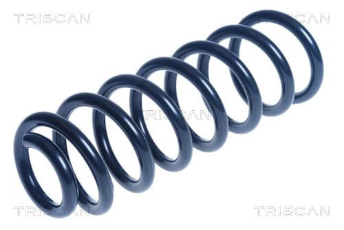 Spiralfjäder bak från TRISCAN