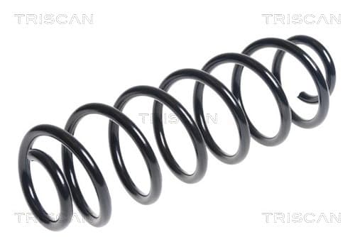 Spiralfjäder bak från TRISCAN