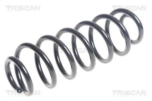 Spiralfjäder bak från TRISCAN