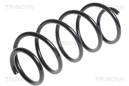 Spiralfjäder fram från TRISCAN
