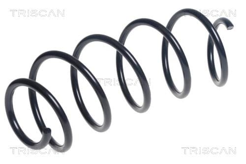Spiralfjäder fram från TRISCAN