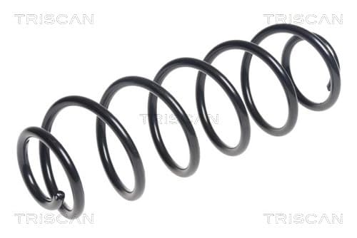 Spiralfjäder bak från TRISCAN