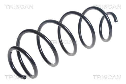 Spiralfjäder fram från TRISCAN