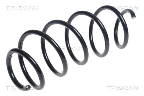 Spiralfjäder fram från TRISCAN