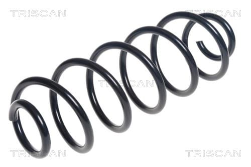 Spiralfjäder bak från TRISCAN