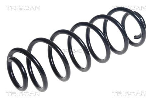 Spiralfjäder bak från TRISCAN