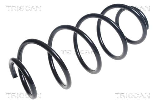 Spiralfjäder fram från TRISCAN